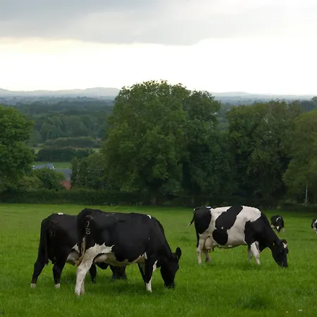 Ballindrum Farm B&B-2