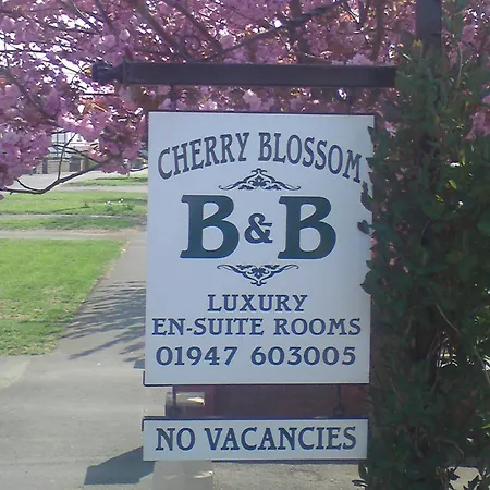 Cherry Blossom Guest House-2