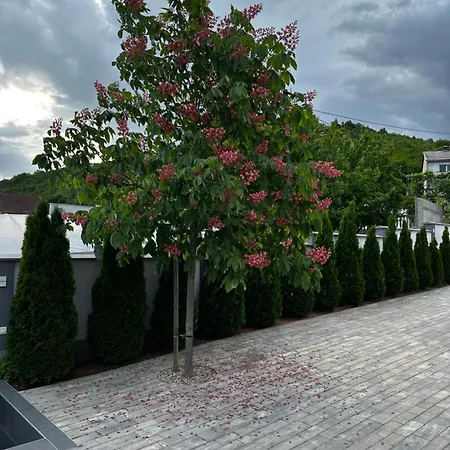 Luxury Villa Magic-3