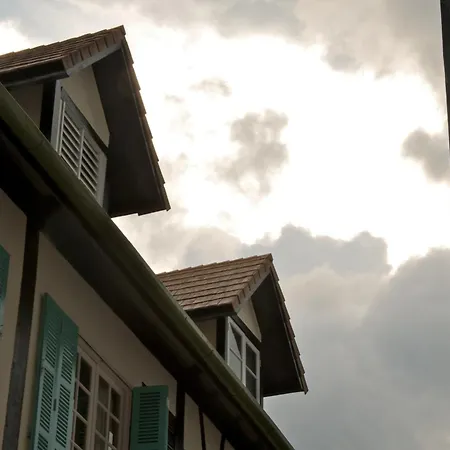 Colmar Tropicale-3