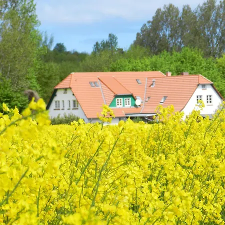 Landhaus Alt Reddevitz-3