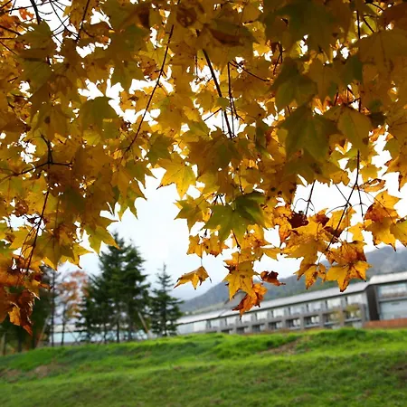 Furano Hotel 富良野ホテル-3