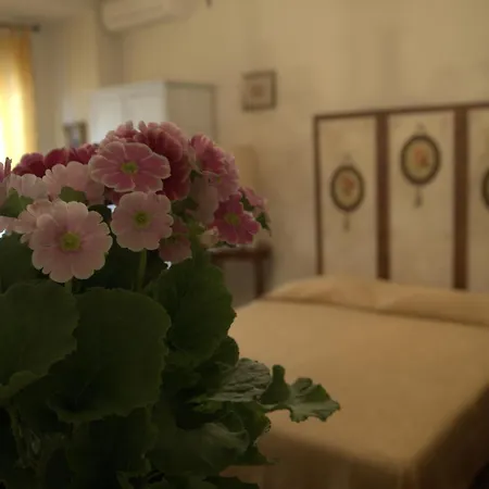B&B All'Ombra di San Pietro-3