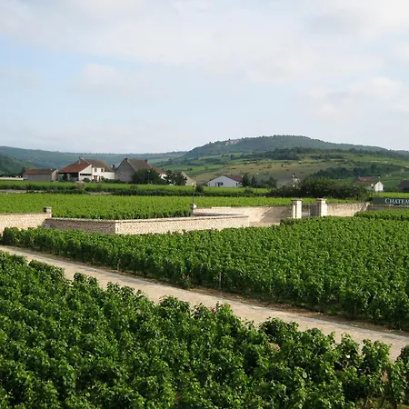 Chateau de Chassagne-Montrachet-2