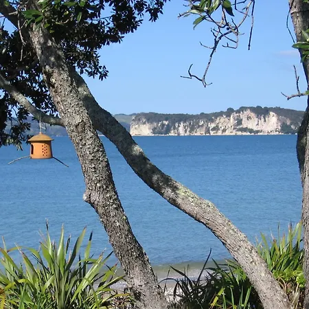 Beachfront Resort-2
