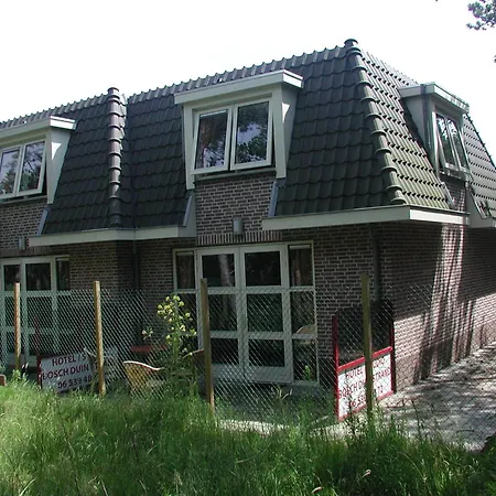 Hotel Studio Bosch Duin Strand-2