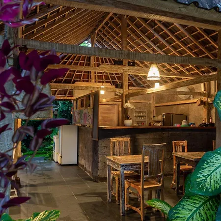 Abipraya Ubud-3