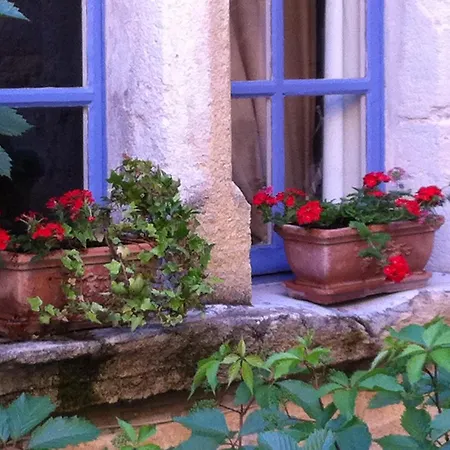 Un Patio En Luberon-2