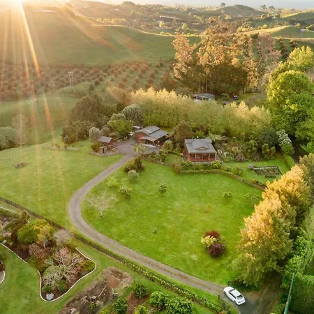 Swiss-Kiwi Cottage And Retreat, B&B-3