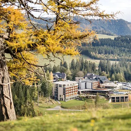 Almwellness Hotel Pierer-3