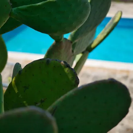 Masseria Trullo Sovrano Exclusive B&B-2