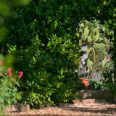 Masseria Trullo Sovrano Exclusive B&B-2