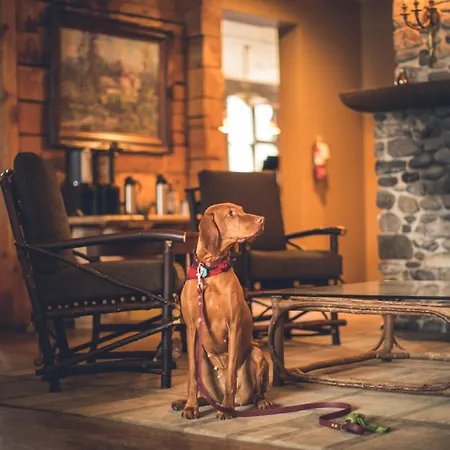 Emerald Lake Lodge-3