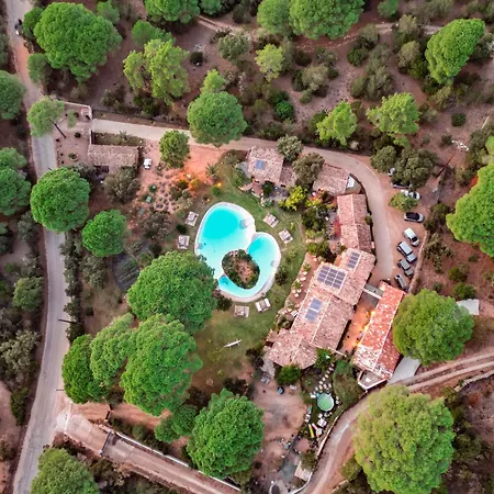 Hôtel Ambassador Palombaggia-2