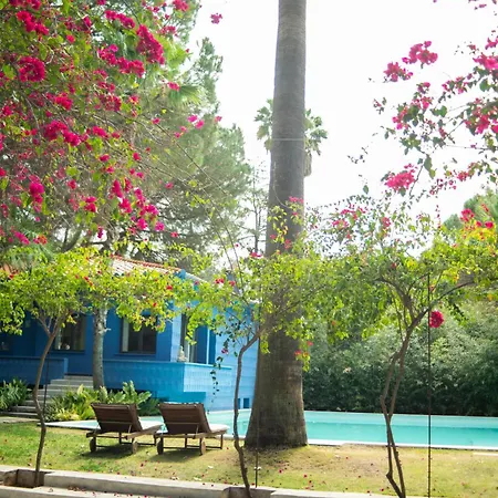 El botanico de Sagra-3