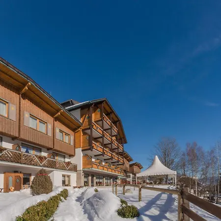 Aparthotel Ferienalm Schladming-2