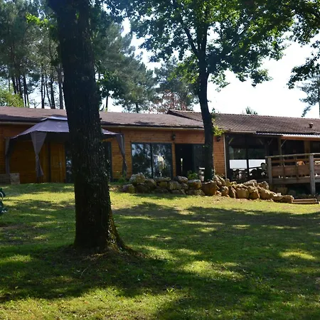 DOMAINE des GRANDS PINS-2