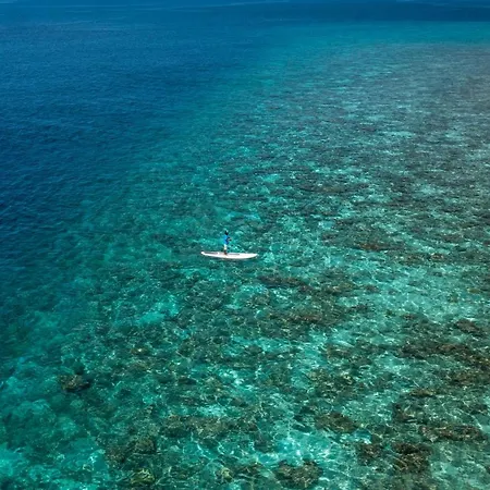 Plumeria Maldives-2