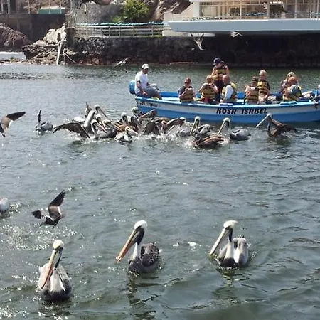 Cruz Del Sur-3