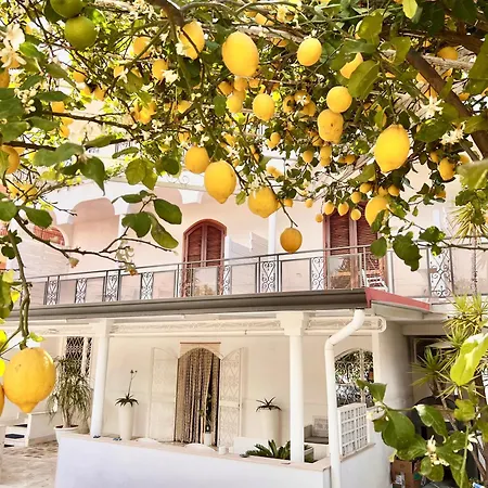 Villa Miriam-2