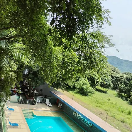 Hotel El Bosque Valledupar-3