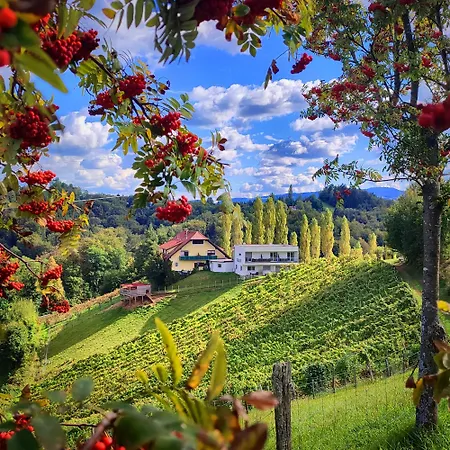 Weingut Winzerzimmer Toso-3