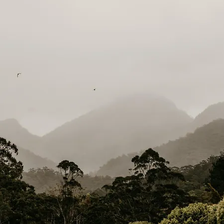 Mavis'S Cabins @ Mt Warning-2