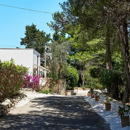 Tenuta Belvedere-2