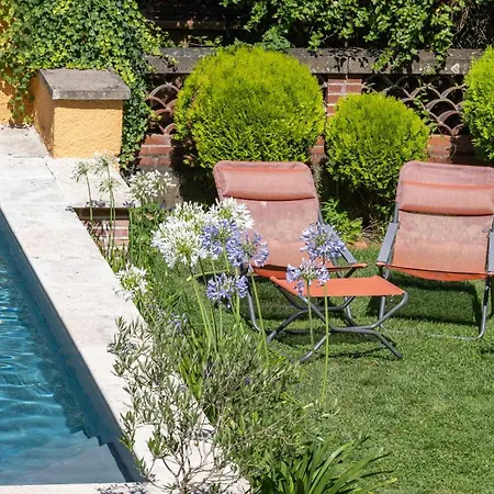 Le Rez de Jardin Albi-2