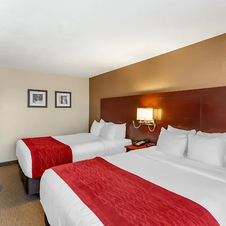 Comfort Inn Airport West-3