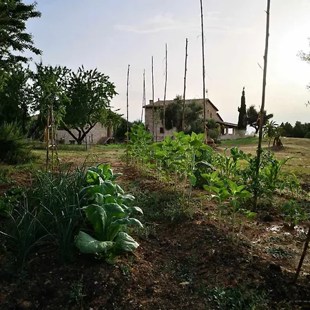 Casa rural restaurante Mas Del Rei-3
