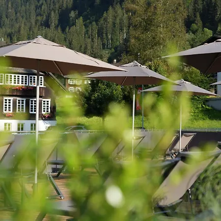 Hotel Bergkristall-2