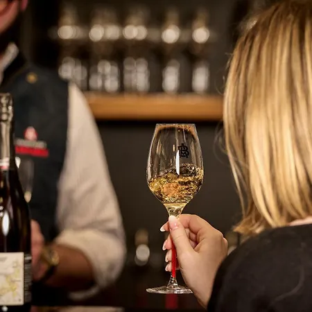Champagne Andre Bergere & Suites-2