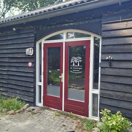 de Tweelingen-3