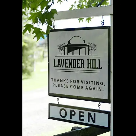 Lavender Hill-2