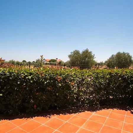 Vila Gale Alentejo Vineyard - Clube De Campo-2