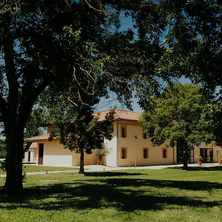 Château de la Busquette --3