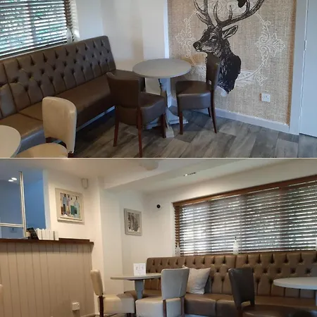 The Roebuck Alcester-3