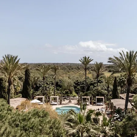 Cal Reiet Holistic Retreat-2