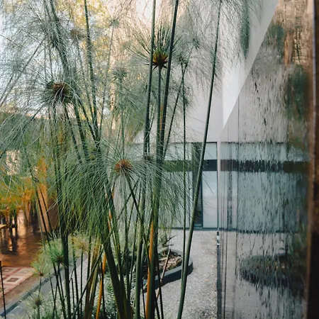 Casa Chichipicas Hotel Boutique-2