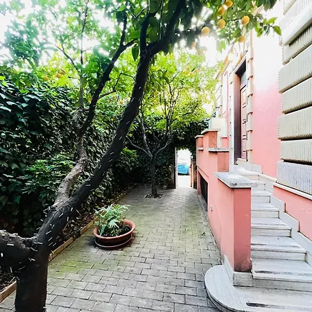 Orange Garden Guest House-3