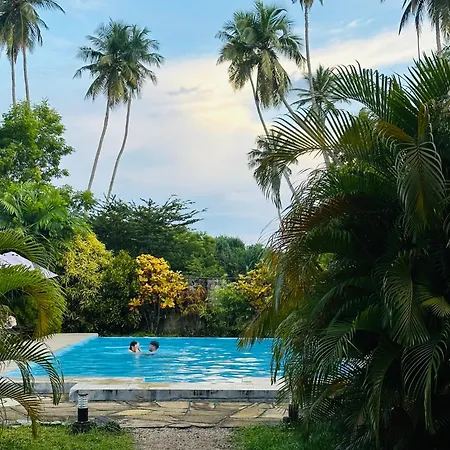 Green Parrot Beach Resort-3
