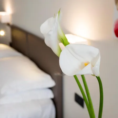 Hotel Plaza-3