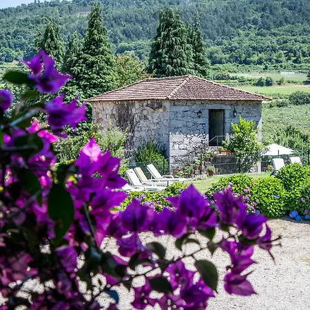 Quinta De S.Vicente-3