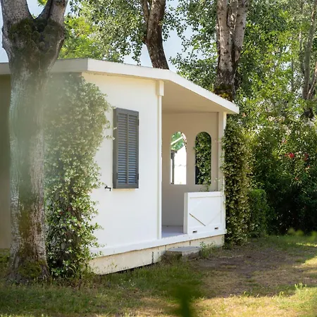 Club Del Sole Spina Family Collection-2