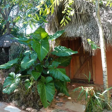 Casa El Paraiso, Eco Lodge-3