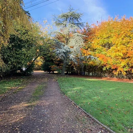 Aldercarr Hall-2