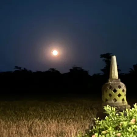 Rumah Dharma-2