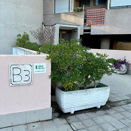 B&B Birba-2