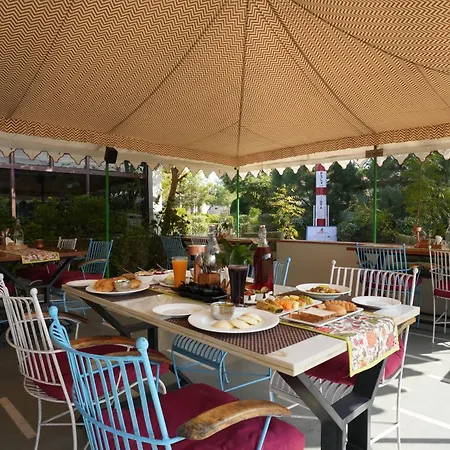 Astroport Sariska Treetop By Eight Continents-3